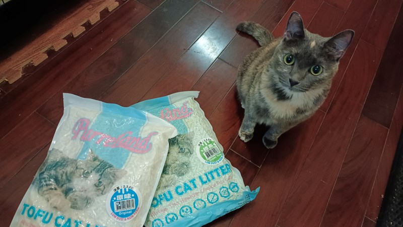 女人知己試用大隊,口碑行銷,部落客行銷,PurreLand 倍淨豆腐貓砂,好市多購買,COSTCO購買,豆腐貓砂,PurreLand倍淨,低粉塵,易清理,可沖馬桶,提供絕佳的除臭與凝結力,豆腐貓砂評價,貓砂評價,使用心得,貓砂分享,好用,原味,綠茶,豆腐砂,水量需完全覆蓋貓砂,水量需貓砂的2~3倍以上,豆腐砂評價,高CP值,划算